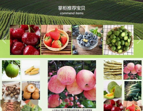 萊陽(yáng)特色農(nóng)產(chǎn)品購(gòu)買指南 認(rèn)準(zhǔn)優(yōu)質(zhì)零售渠道