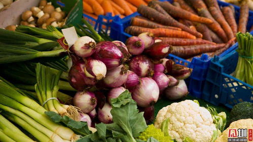 深圳稅務(wù)主動(dòng)對(duì)接農(nóng)產(chǎn)品企業(yè) 護(hù)航春節(jié)“菜籃子”食用農(nóng)產(chǎn)品零售